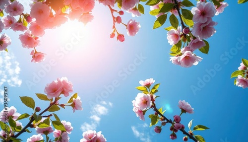 stretch ceiling sky image. tropical sunny sky and white, pink cherry blossoms. green tree leaves. Bottom-up view of the sky and flowers, ai