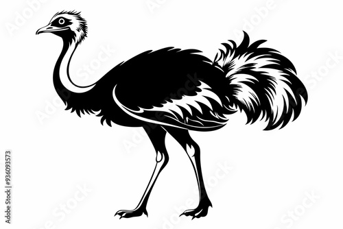 ostrich silhouette vector illustration