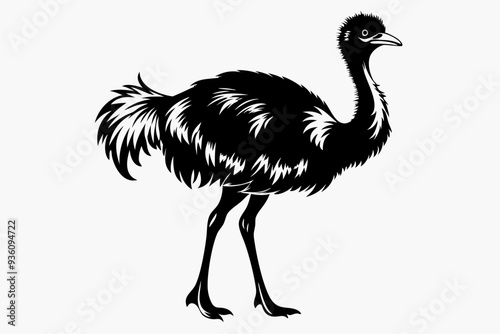 ostrich silhouette vector illustration photo