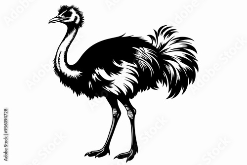 ostrich silhouette vector illustration