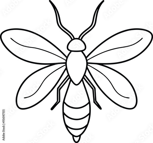 Firefly outline illustration art, smooth line art like silhouette on white background.