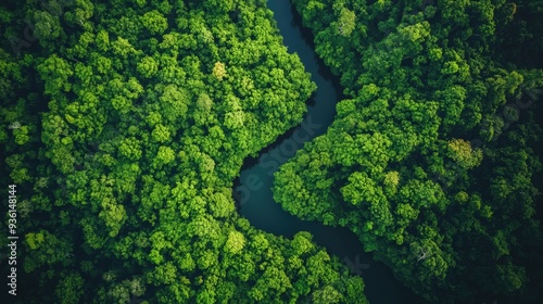 Aerial view of a lush, dense forest with a winding river cutting through the vibrant green canopy, showcasing nature's beauty from above...