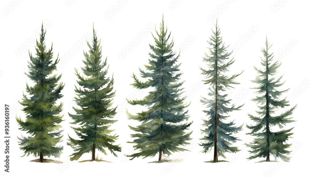 Fototapeta premium set of pine tree watercolor isolated on transparent background cutout
