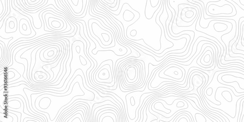 Topography grid contour map on white background, Topographic contour lines map seamless pattern. modern graphic topo diagram black line drawing geometric paper art design.