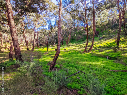 Plenty Gorge Parklands in Australia photo