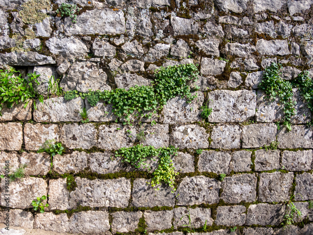 Old weathered brick wall with plants growing from cracks Old weathered brick wall with plants growing from cracks
