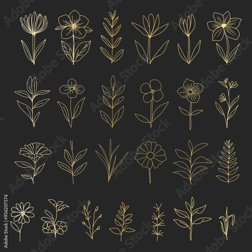 Botanical sets of different flower shapes. Luxury vintage flower collections for wedding invitations, wallpaper art or invitation design needs. Botanical vector illustration
