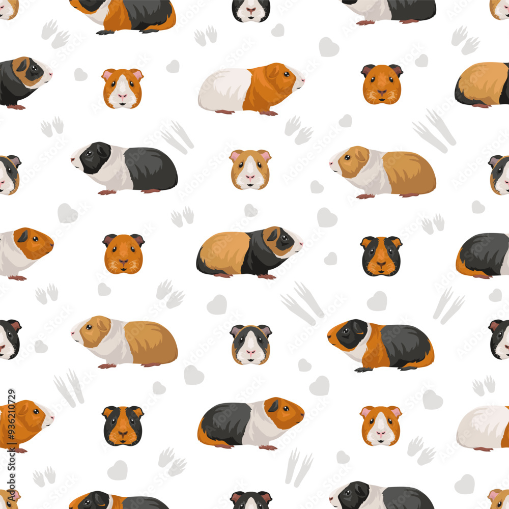 Fototapeta premium seamless pattern. All coat colors cavies set. Small Pet Rodents. Vector illustration