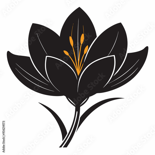 Saffron Black silhouette