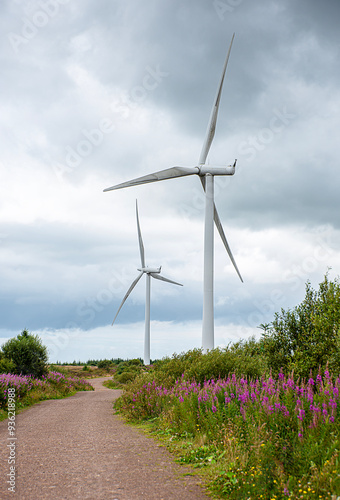 Landscape photography of wind turbines, windmill, wind power, power generation, electricity, industry, decarbonization, innovation, green energy, scenic, production, Whitelee Windfarm Scotland photo