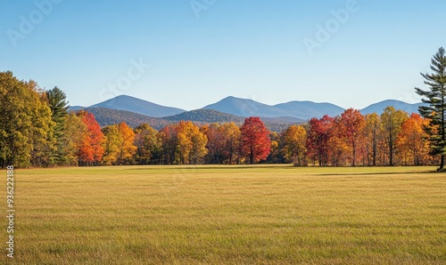 Fototapeta Naklejka Na Ścianę i Meble -  Tranquil fall landscape, open field, colorful trees
