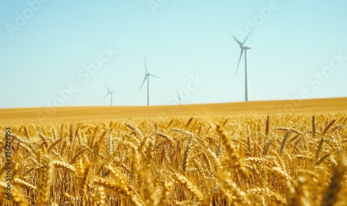 Vast wheat fields, wind turbines in the distance