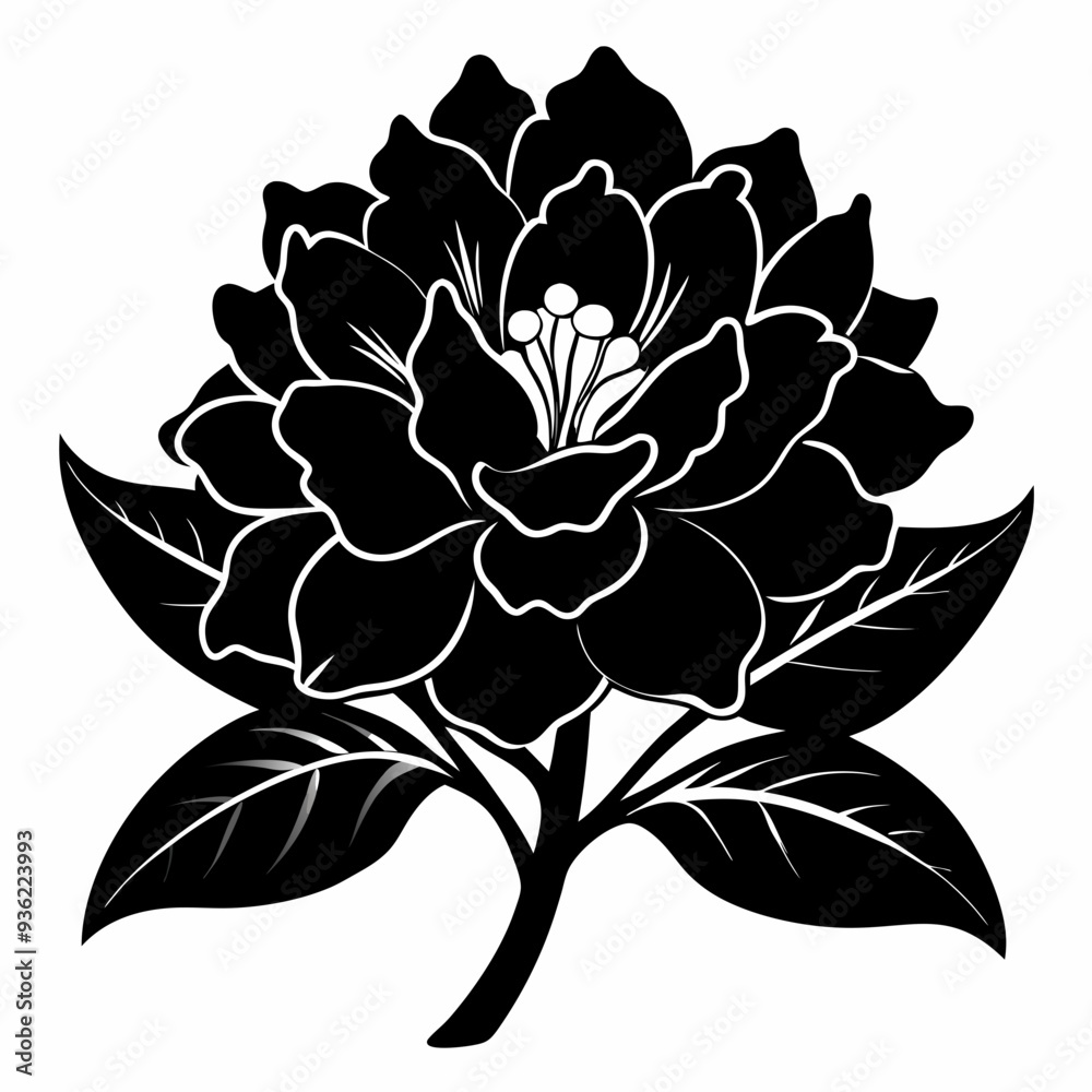 Fototapeta premium Rhododendron Black silhouette