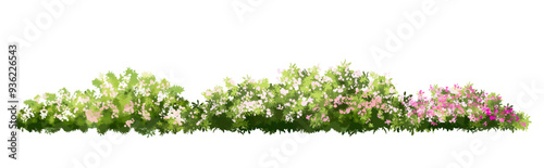  Vector watercolor blooming flower tree or meadow side view isolated on white background for landscape and architecture drawing,elements for environment or and garden,green tree for garden section 