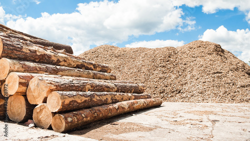 round logs close-up in the background there is a mountain of wood chips and a blue sky with clouds photo