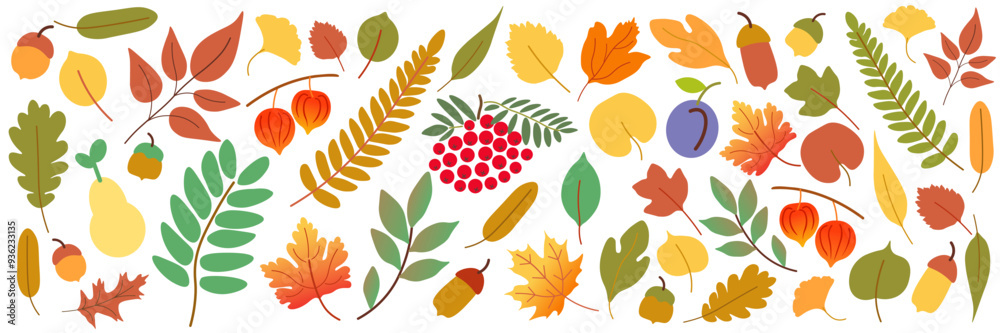Fototapeta premium color isolated autumn leaves berries and acorns vector set. element for logo sticker poster print mascot design decor backgrounds