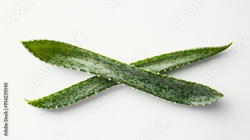 A green leaf that is curled up and twisted, resembling the letter W