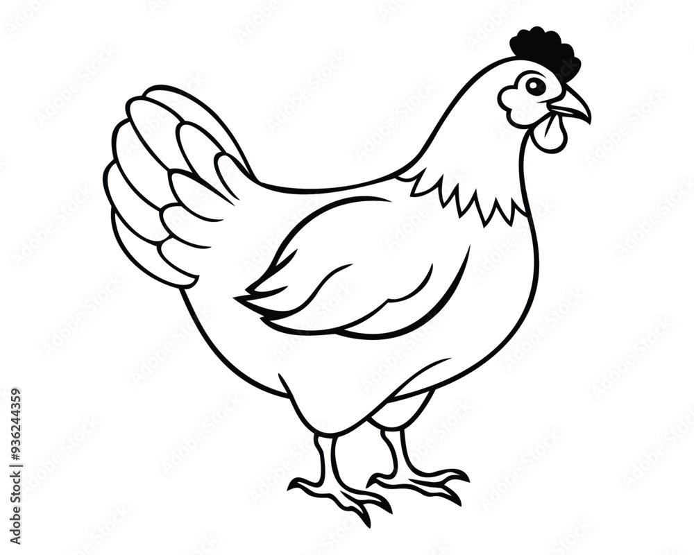 hen vector. isolated on a transparent background. hen vector. isolated on a transparent background.