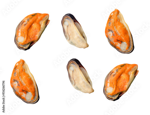 Top view set of steamed or cooked green mussels meat isolated in png file format photo