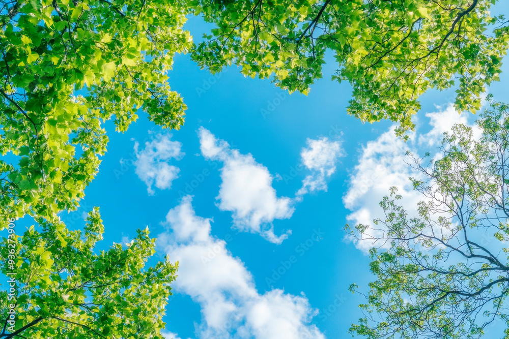 Fototapeta premium Blue sky background with tiny clouds. Abstract nature background. Copy space.