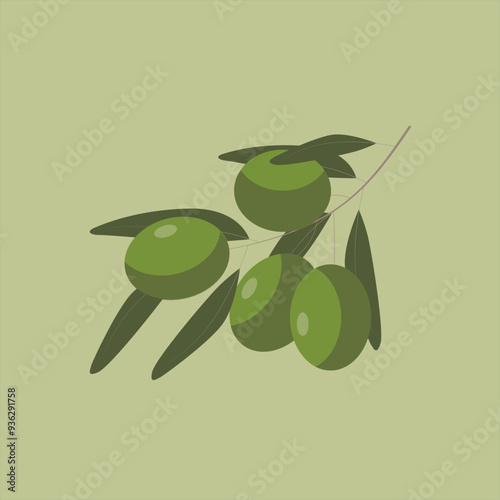 Olive branch with green olives isolated. Side view. Close up. vector illustration. For cosmetics, spa, health care, perfumery, cooking, aromatherapy, Herbal medicine, skin care, ointments, labels, tag
