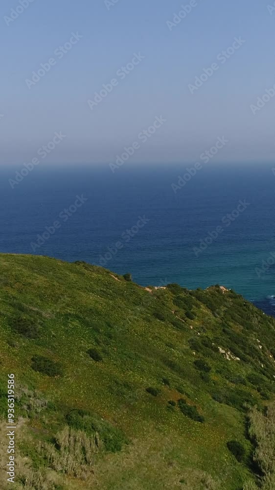 Vertical Video of Green Coastline and Blue Sky Vertical Video of Green Coastline and Blue Sky