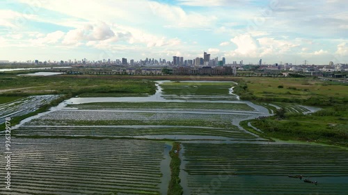 Aerial reverse dolly of farmland located outside city near the Bassac River, showcasing the green row fields and surrounding area photo