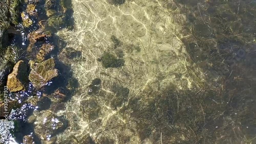 The seashore. View of the seabed through the water