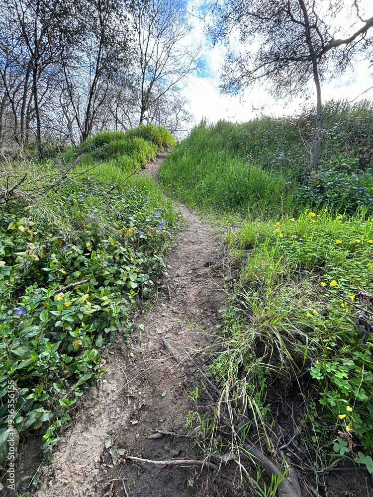 very pretty small walking trail, clear blue sky very pretty small walking trail, clear blue sky