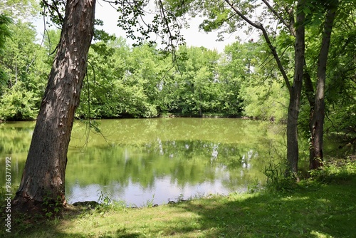 The peaceful pond in the countryside on a sunny day.