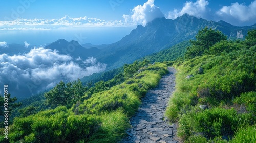 Mountain Path Leading Through Lush Greenery