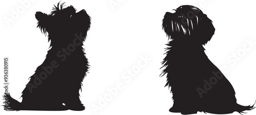Maltese small cute dog black silhouette