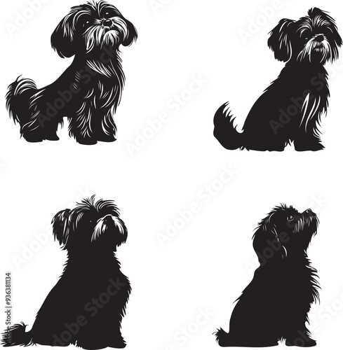 Maltese small cute dog black silhouette