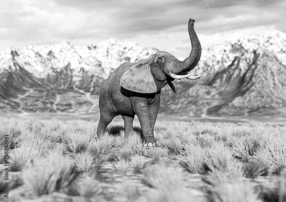 Fototapeta premium african elephant is doing a happy walk in plains and mountains