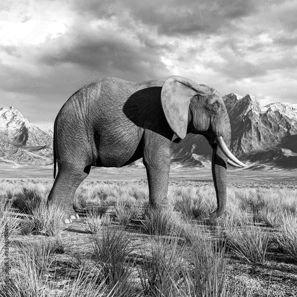 Naklejka premium african elephant is standing up in plains and mountains side view