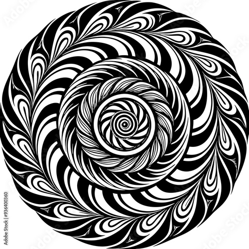 round shape swirl black color white background vector image 