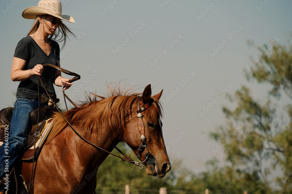 Fototapeta premium Cowgirl riding sorrel mare horse for western lifestyle, copy space on sky background.