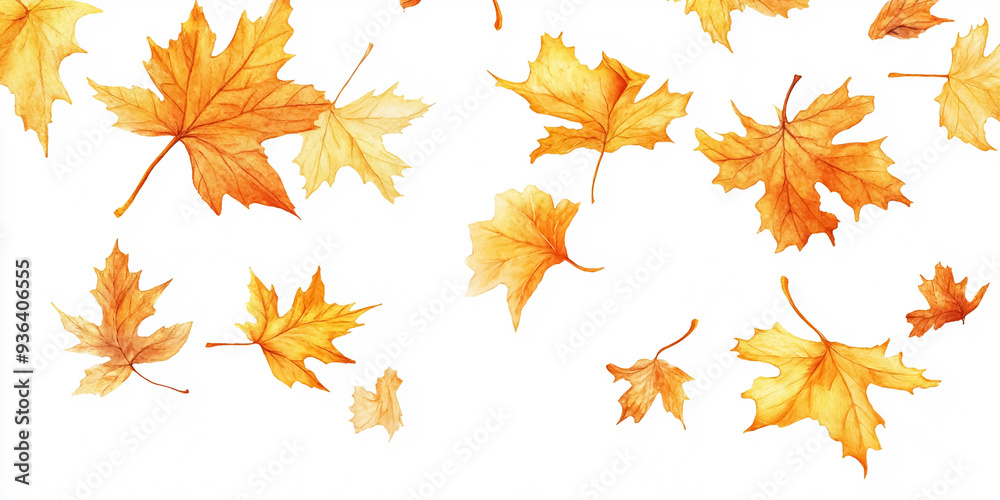 Autumn maple leaves falling down with the wind Fall leaf on white background Autumn maple leaves falling down with the wind Fall leaf on white background