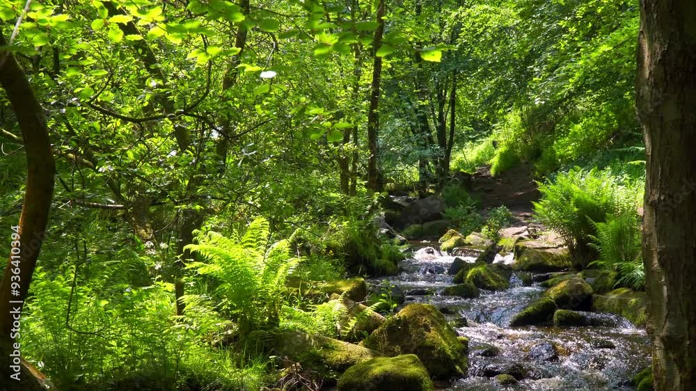 Slow flowing river stream flowing gently over rocky waterfalls. Wyming Brook Slow flowing river stream flowing gently over rocky waterfalls. Wyming Brook