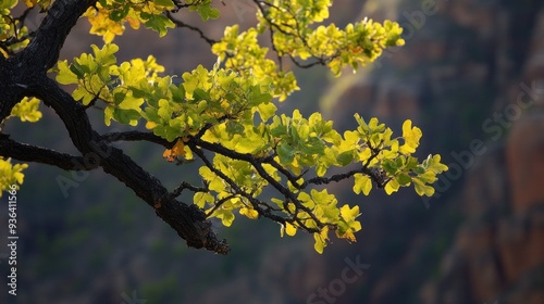 Branch with Green Leaves