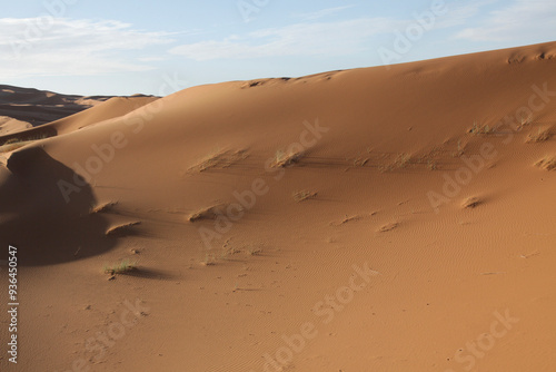 Sahara dunes,near Morocco, North Africa