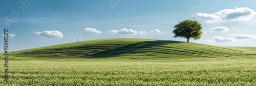 A solitary tree stands amidst golden wheat fields under a clear blue sky at m...