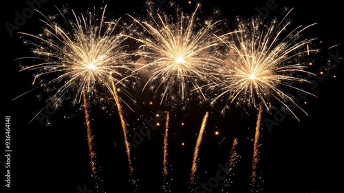 Colorful fireworks display over a dark sky during a summer night celebration