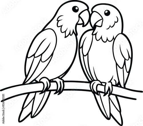 couple of parrots vector illustration