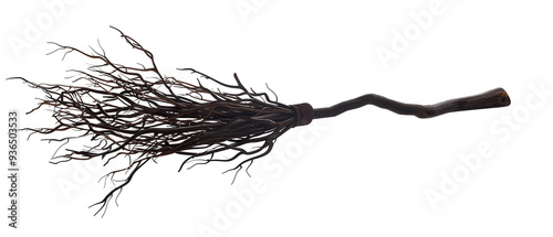 Magic and black Witch broom