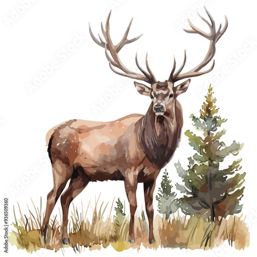 Vector illustration of a cartoon animation of stag, painted in watercolor, isolated on a white background, stag animation