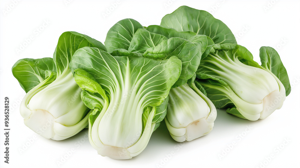 bok choy isolated on white background, chinese cabbage bok choy isolated on white background, chinese cabbage