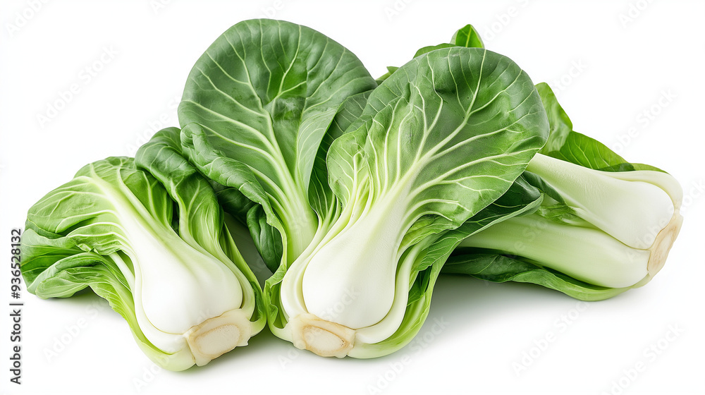 bok choy isolated on white background, chinese cabbage bok choy isolated on white background, chinese cabbage