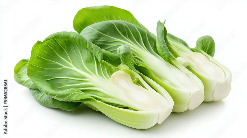 bok choy isolated on white background, chinese cabbage bok choy isolated on white background, chinese cabbage