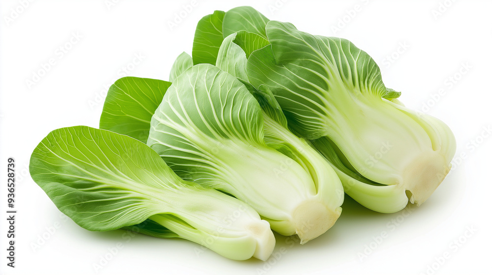 bok choy isolated on white background, chinese cabbage bok choy isolated on white background, chinese cabbage